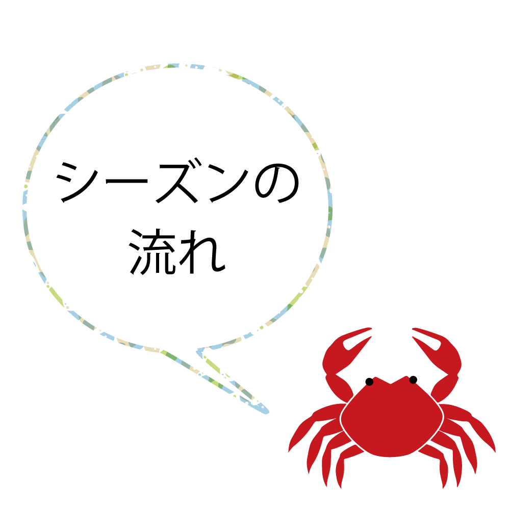 シーズンの流れ