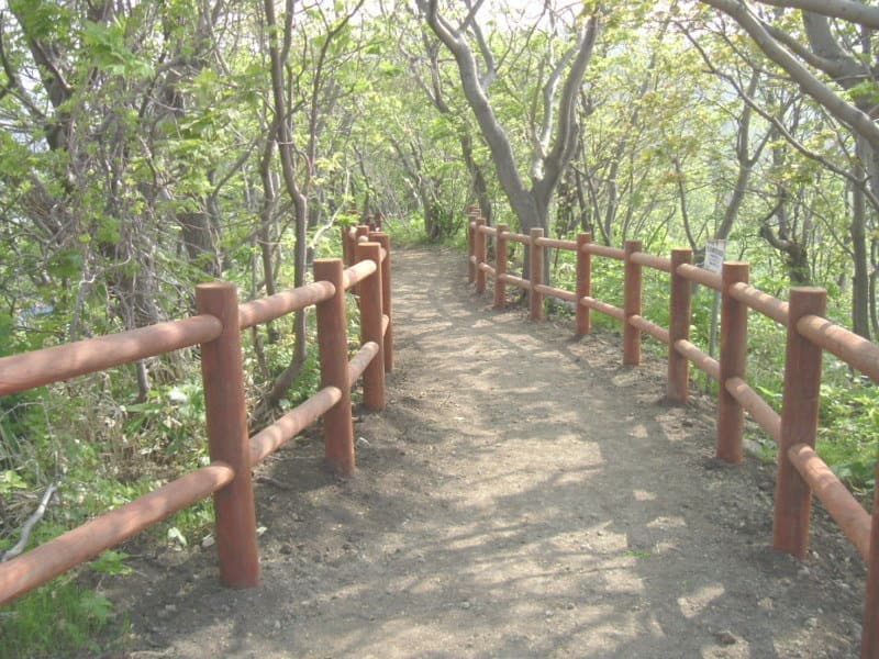 黄金岬の遊歩道