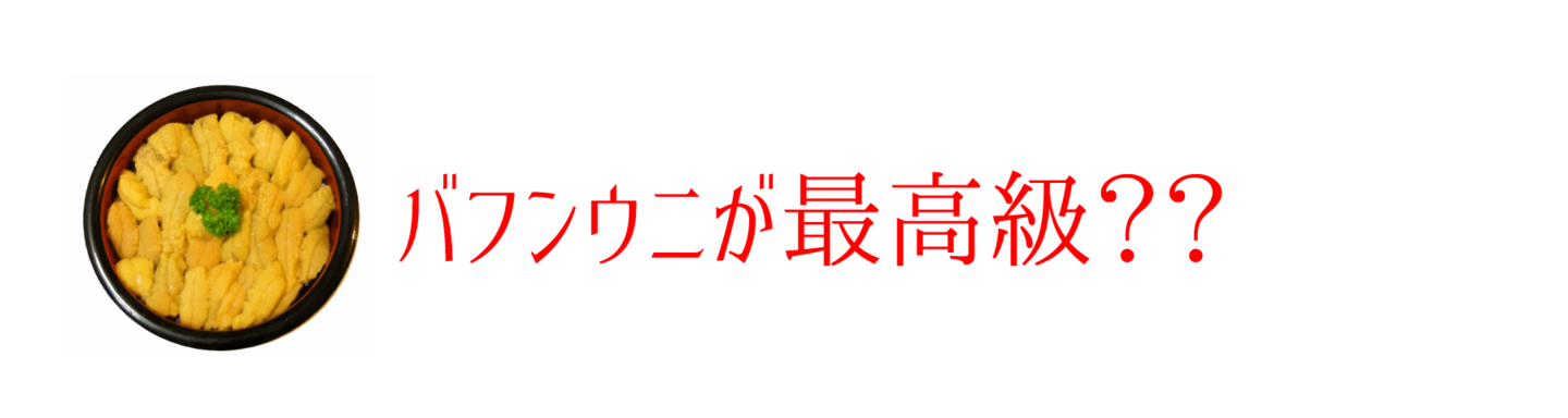 バフンウニが最高級？？