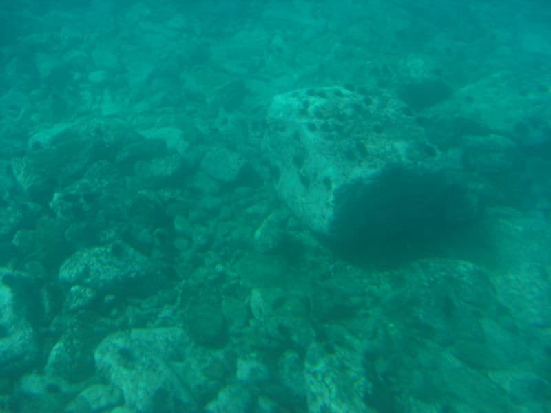 船底から海中を望む