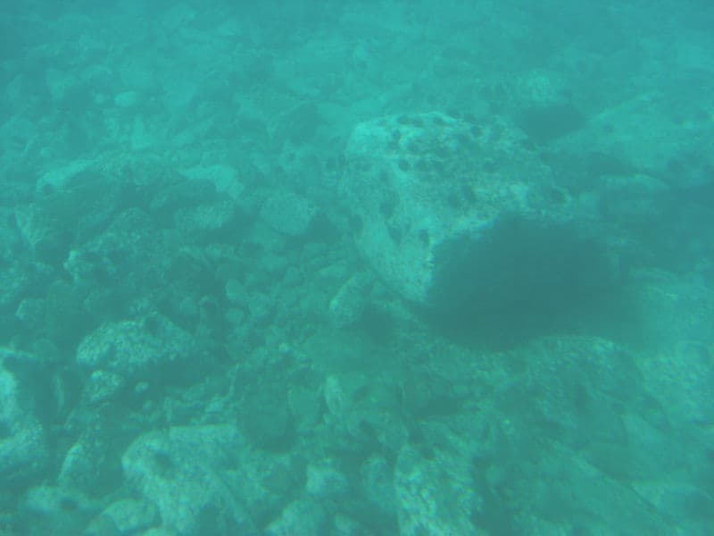 船底から海中を望む
